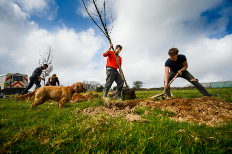 Plymouth and South Devon Community Forest